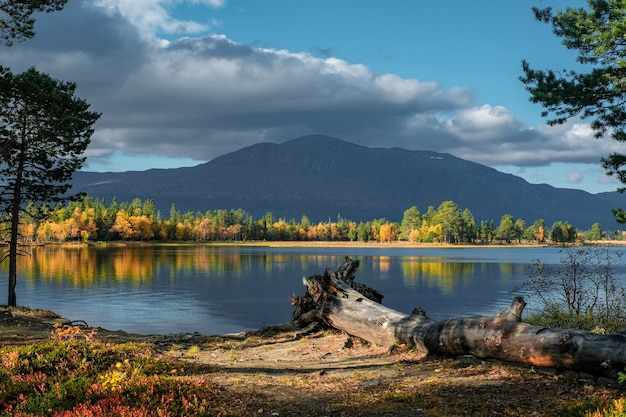 Foto gratuita hermosa foto de paisaje natural en otoño