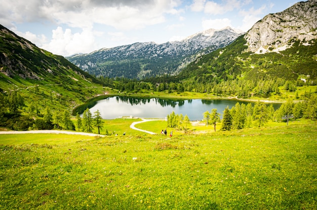 Foto gratuita hermoso paisaje de un valle verde cerca de las montañas de alp en austria bajo el cielo nublado