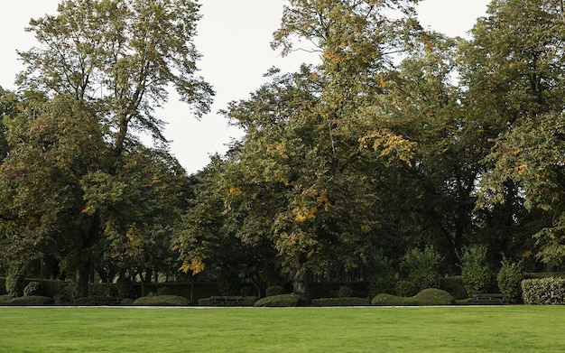 Foto gratuita otoño en leeds hyde park
