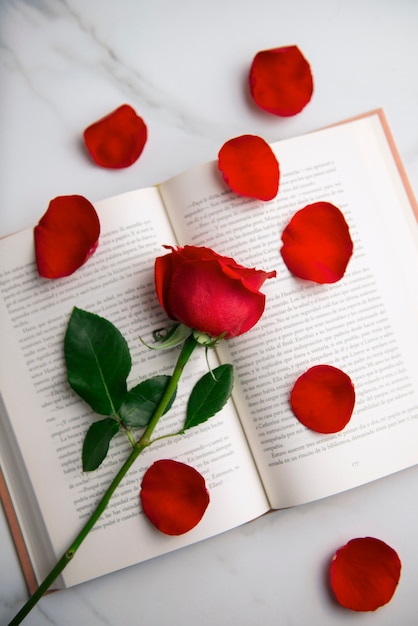 Foto gratuita naturaleza muerta de hermosas rosas rojas para la celebración de sant jordi