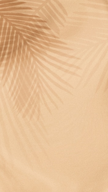 Foto gratuita sombra de hojas de palmera sobre un fondo beige