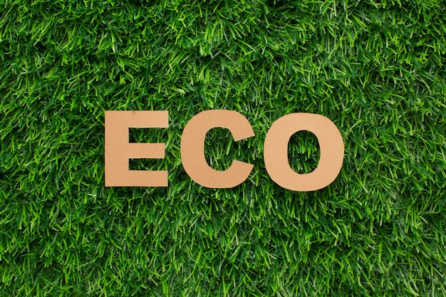 Foto gratuita palabra ecológica sobre hierba