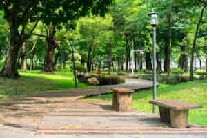 Foto gratuita parque con un camino de madera y bancos