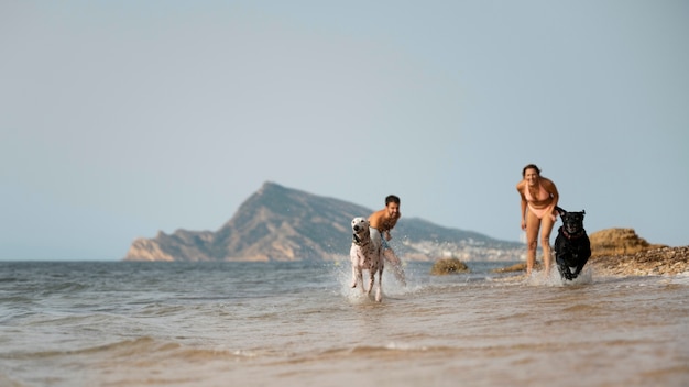 Foto gratuita perro divirtiéndose en la playa