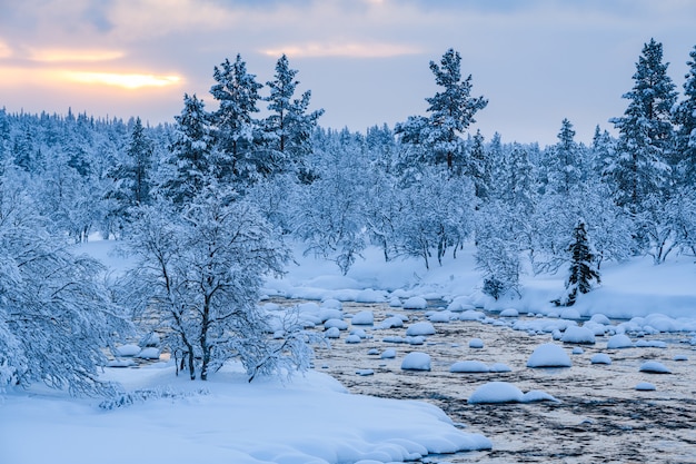 Foto gratuita río con nieve y un bosque cerca cubierto de nieve en invierno en suecia