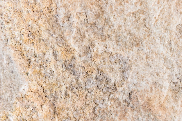 Foto gratuita textura pared de piedra