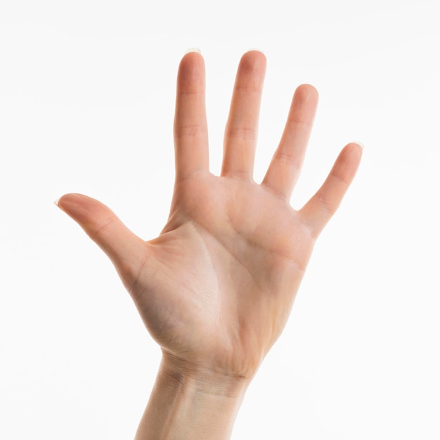 Foto gratuita vista frontal de la mano mostrando la palma
