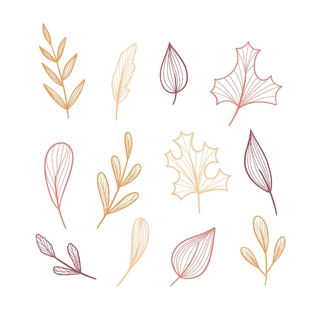 Free vector collection of drawn forest leaves