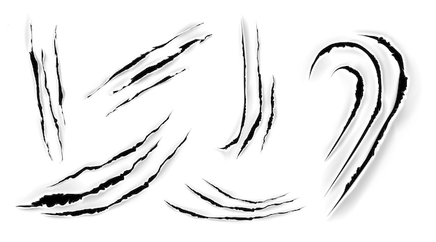 Free vector cat claw scratches on paper.