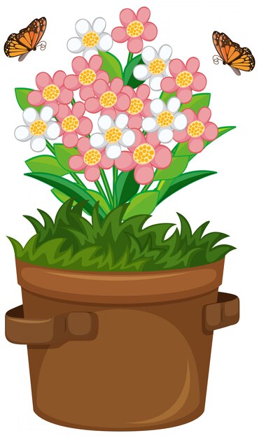 Бесплатное векторное изображение Красивые цветы в саду на белом фоне
