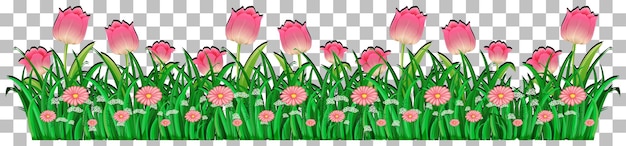 Бесплатное векторное изображение Трава и растения на прозрачном фоне для декора