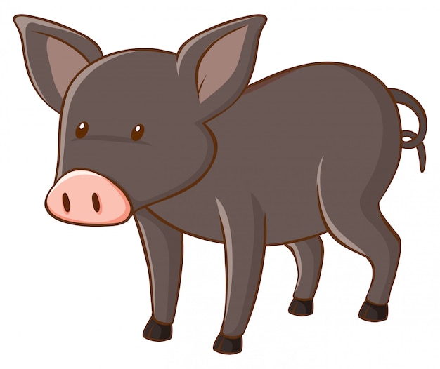 Бесплатное векторное изображение Серая свинья на белом фоне