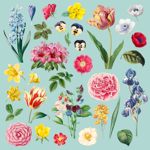 Free vector different flowers painting set