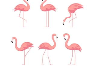 фламинго клипарт
