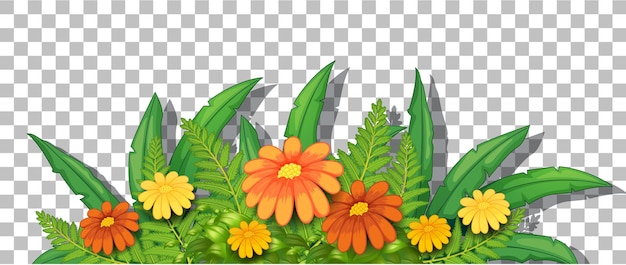 Бесплатное векторное изображение Цветочный куст с листьями на прозрачном фоне