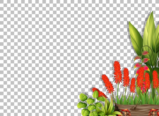 Бесплатное векторное изображение Шаблон цветочной рамки на прозрачном фоне
