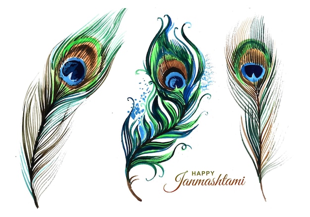 Рука рисовать павлиньи перья набор дизайн