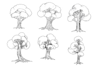 дерево рисунок