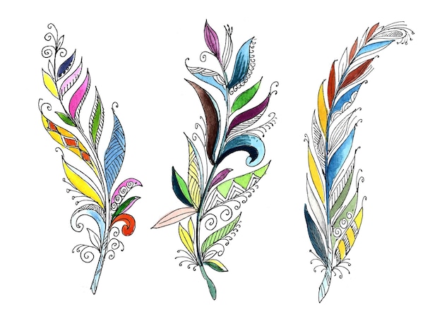 Ручной обращается цветочные перья акварель на белом фоне