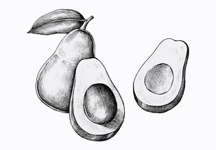 авокадо рисунок