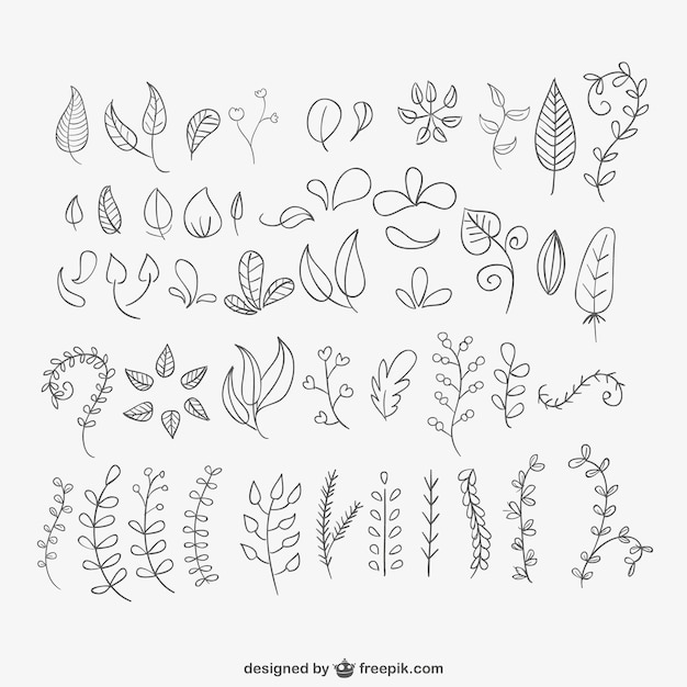 Free vector hand drawn leaves pack