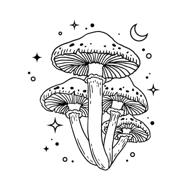 Hand drawn mushroom outline illustration