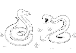 змея рисунок