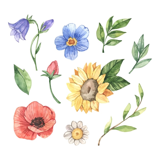Бесплатное векторное изображение Ручная роспись акварельной цветочной коллекцией