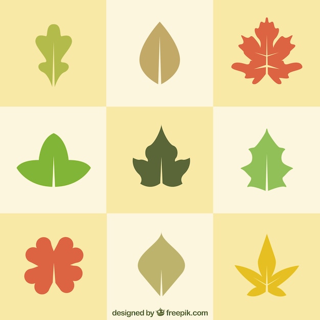 Free vector natural leaves in flat design