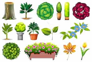 Бесплатное векторное изображение Набор декоративных растений