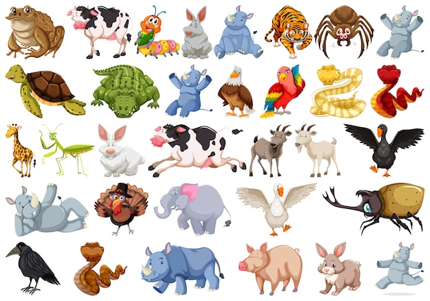 Бесплатное векторное изображение Набор животных символов