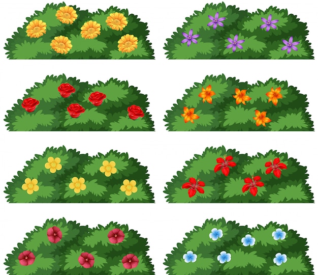 Бесплатное векторное изображение Набор кустов с цветами