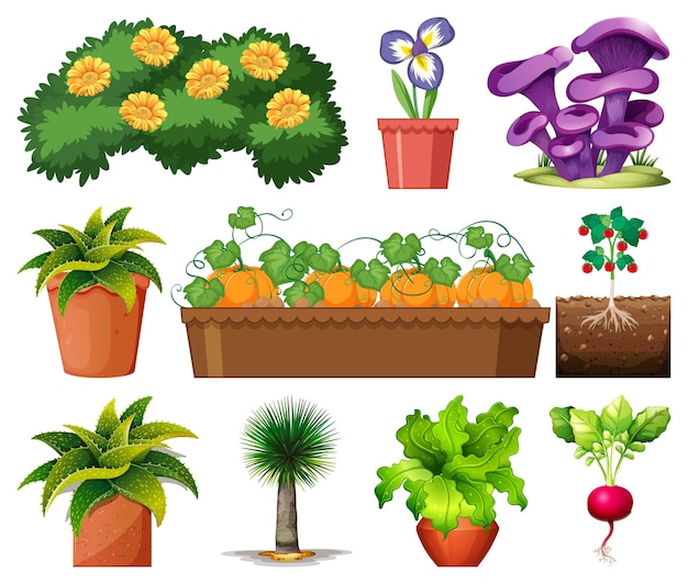 Бесплатное векторное изображение Набор различных растений в горшках, изолированные на белом фоне