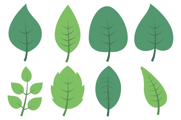 Free vector set of eight different leaves