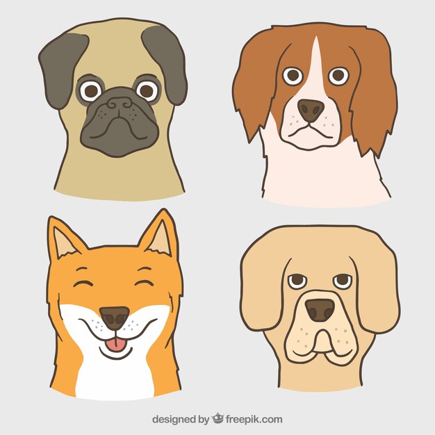 Набор рисованной собак