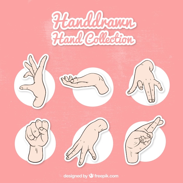 Бесплатное векторное изображение Пакет из рук и языка жестов