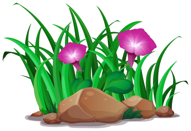 Бесплатное векторное изображение Розовая ипомея в кустах