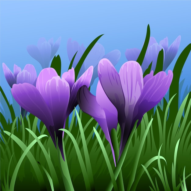 Бесплатное векторное изображение Реалистичная иллюстрация цветка шафрана