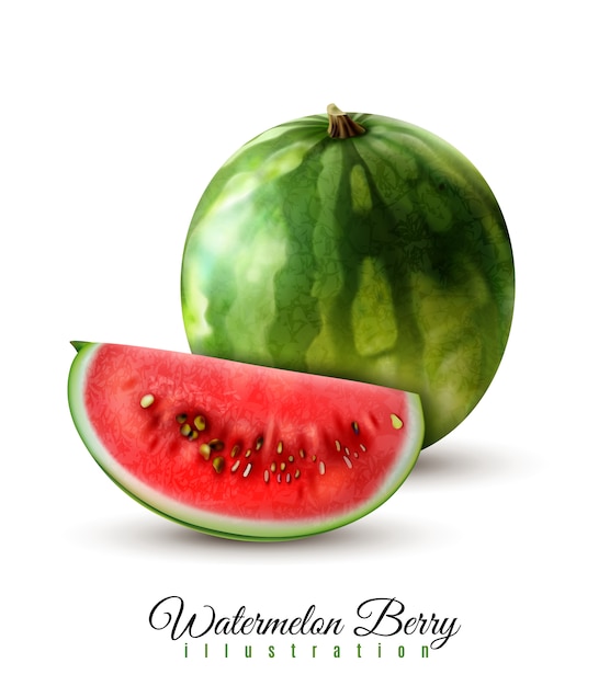 Free vector ripe realistic whole watermelon  vector illustration