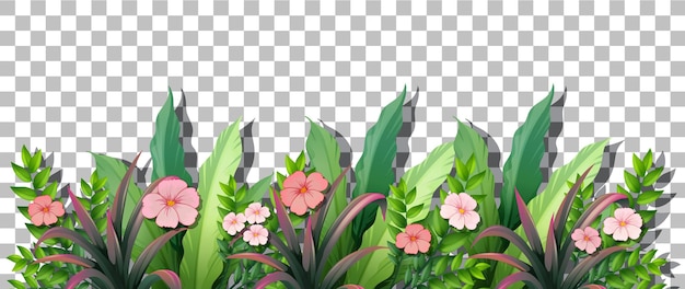 Бесплатное векторное изображение Различные тропические растения на прозрачном фоне