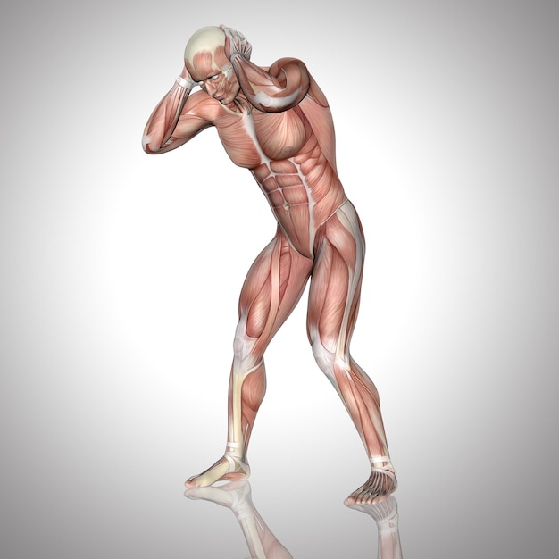 Foto gratuita figura maschile 3d con mappa muscolare che tiene la testa dolorante