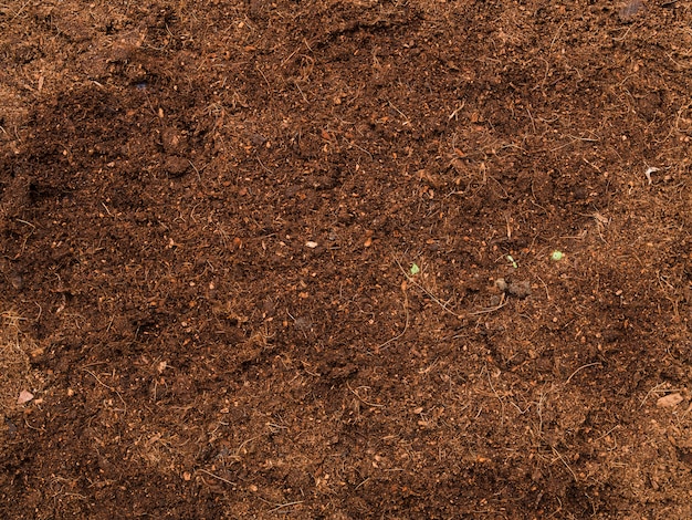 Бесплатное фото Вид сверху почвы