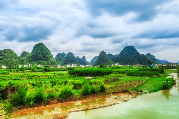Бесплатное фото Городской азиатский речной зеленый рафтинг