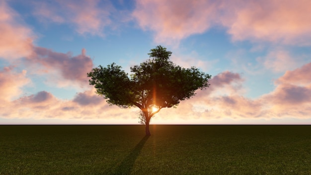 Бесплатное фото Дерево с солнцем позади в зеленом поле