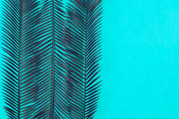 Free photo two palm leaves pattern against teal background