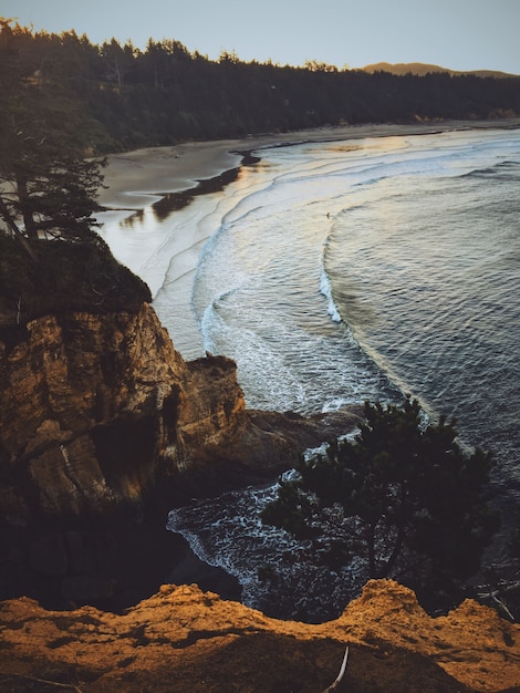 Бесплатное фото Вертикальный снимок скалы у моря с лесом вокруг него
