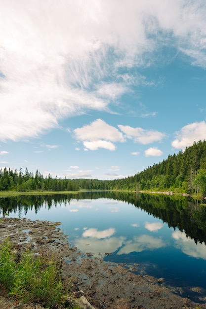 Бесплатное фото Вертикальный снимок озера и деревьев в пасмурный день