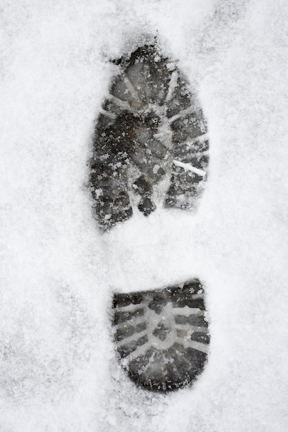 무료 사진 하얀 눈 덮인 땅에 신발 인쇄의 세로 샷