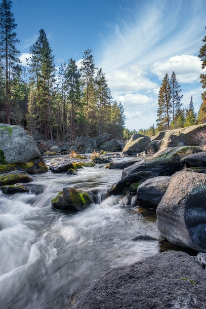 Бесплатное фото Вертикальный снимок реки, протекающей через камни и лес