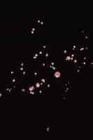 Бесплатное фото Вертикальный выстрел освещенных огней в темноте